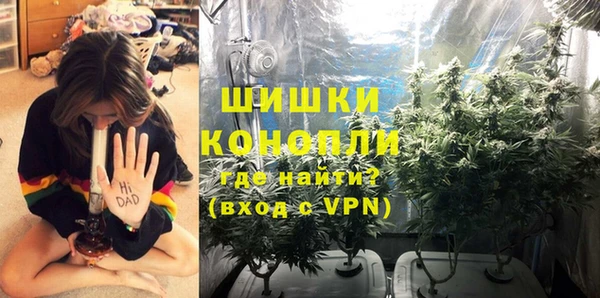 ПСИЛОЦИБИНОВЫЕ ГРИБЫ Абаза