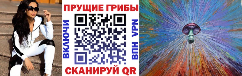 сайты даркнета официальный сайт  Ковдор  Галлюциногенные грибы мицелий 